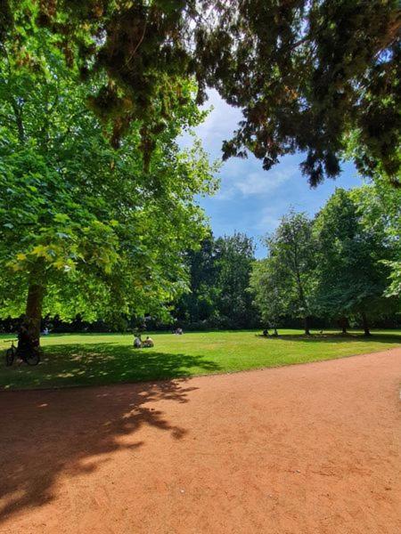 Am Stadtpark Mit Parkplatz 1Zkb 48Qm أولدنبورغ المظهر الخارجي الصورة